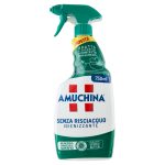 SPRAY IGIENIZANT PENTRU BUCATARIE AMUCHINA 750 ML