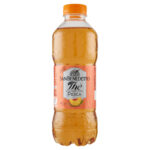 CEAI CU PIERSICA THE SAN BENEDETTO 0,5 ML
