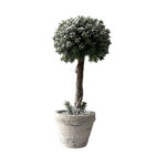 DECORATIUNE BRAD IN GHIVECI 40 CM PREZIOSA LUXURY HOME